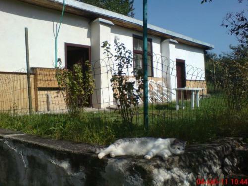 Pronajem Pokoju Belle Vue Apartment Vranov nad Dyjí Exterior foto